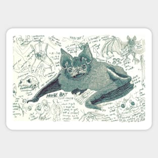 House Bat Study Sticker